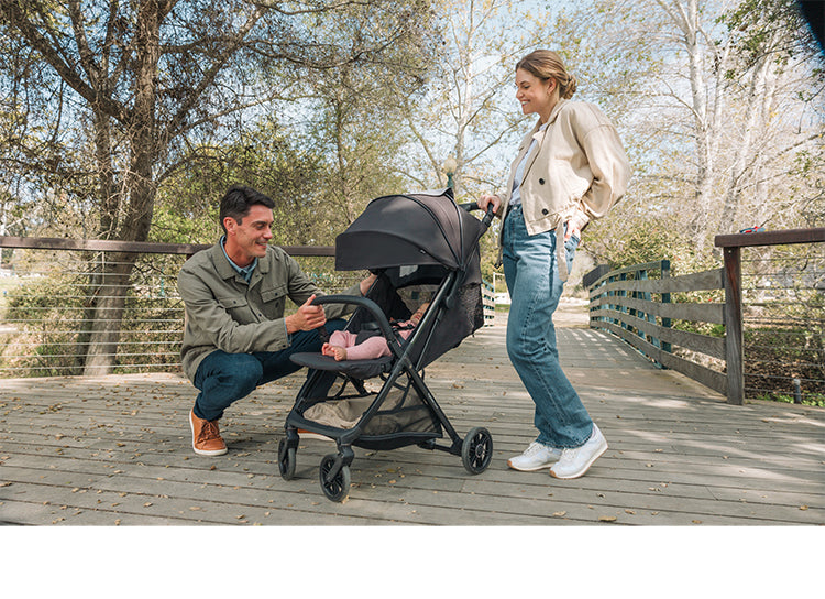 Inglesina Quid 3 Stroller