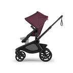 Bugaboo Kangaroo Complete 2-in-1 Double Tandem Stroller