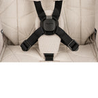 Nuna TRVL LX BMW Collection in Mica (includes Carry Bag)