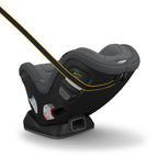 UPPAbaby Rove Convertible Car Seat