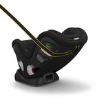 UPPAbaby Rove Convertible Car Seat