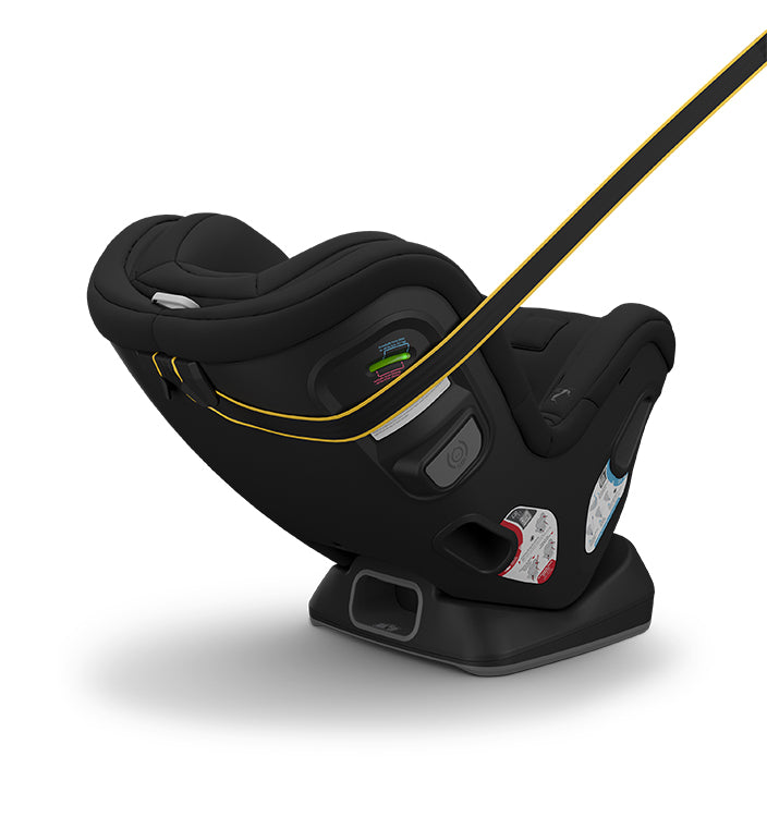 UPPAbaby Rove Convertible Car Seat