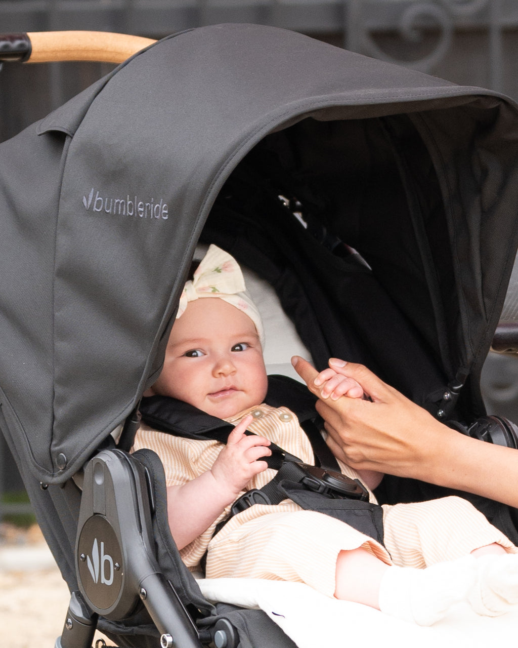 Bumbleride Organic Cotton Seat Liner