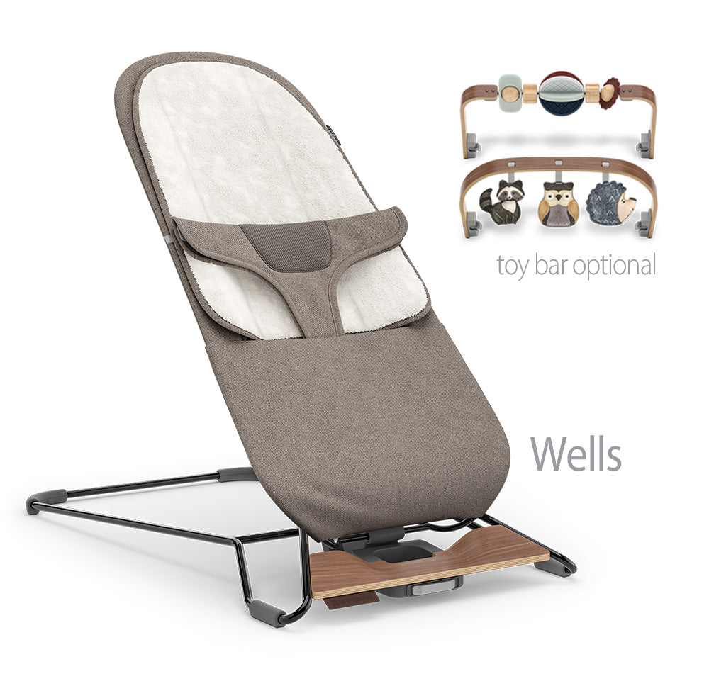 UPPABaby Mira Bouncer and Seat
