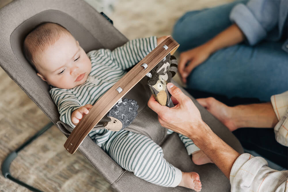 UPPABaby Mira Bouncer and Seat