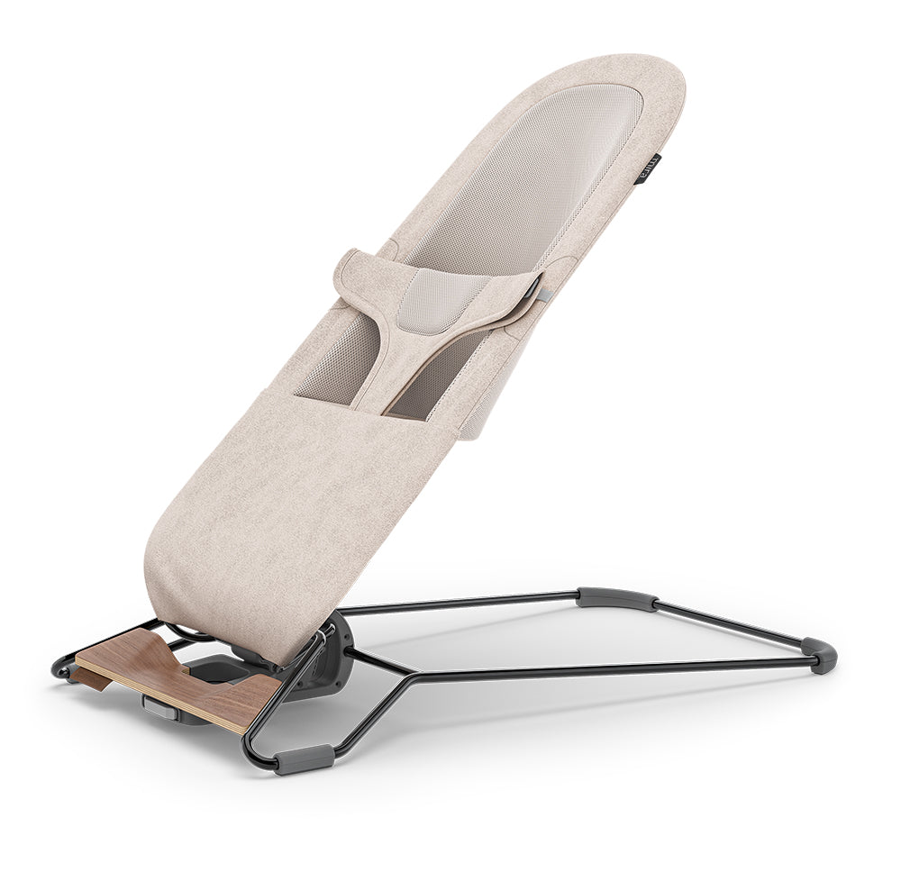 UPPABaby Mira Bouncer and Seat
