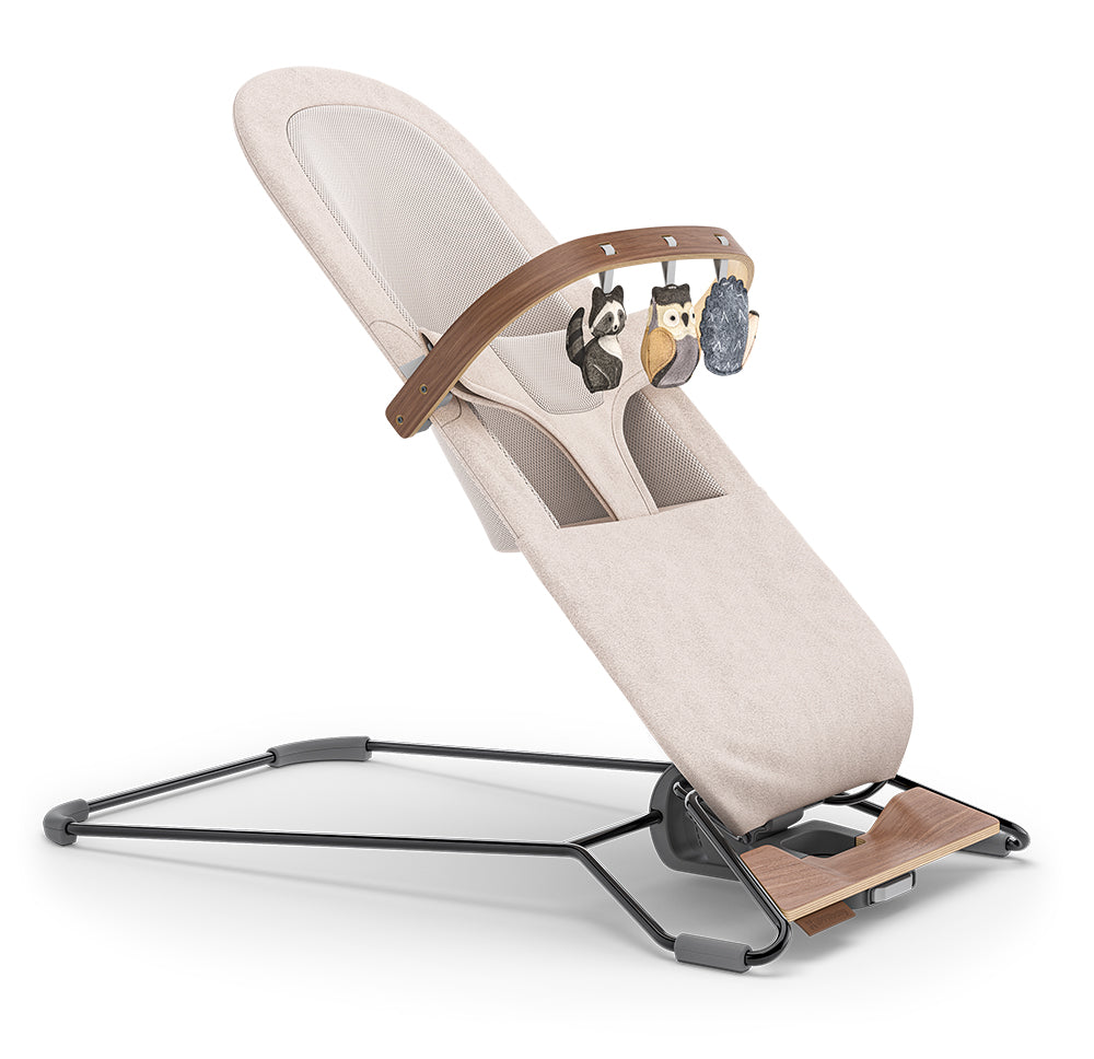 UPPABaby Mira Bouncer and Seat