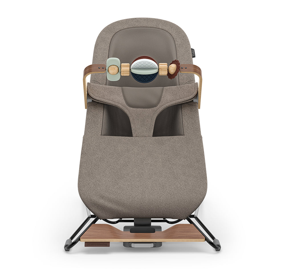 UPPABaby Mira Bouncer and Seat