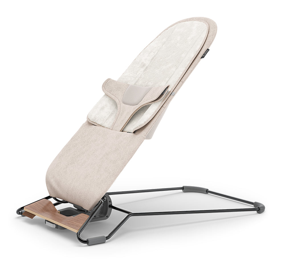 UPPABaby Mira Bouncer and Seat