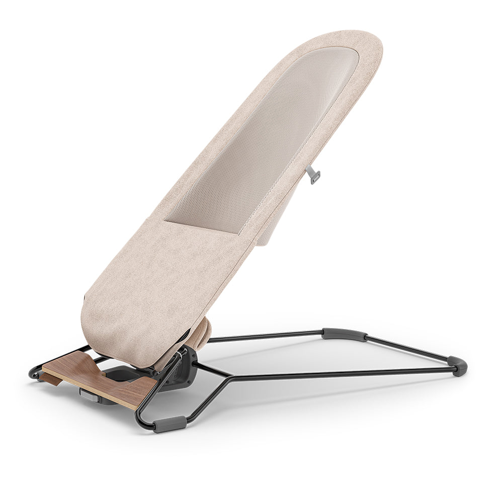 UPPABaby Mira Bouncer and Seat