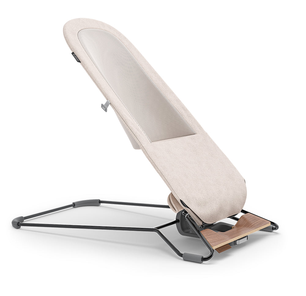 UPPABaby Mira Bouncer and Seat