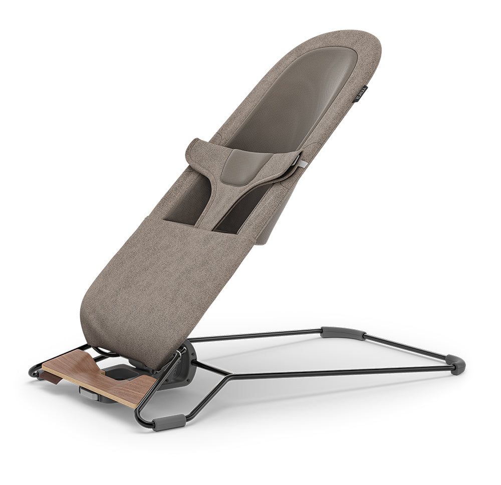 UPPABaby Mira Bouncer and Seat