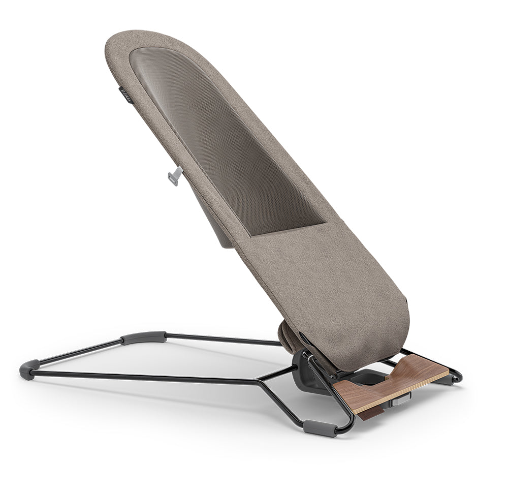 UPPABaby Mira Bouncer and Seat