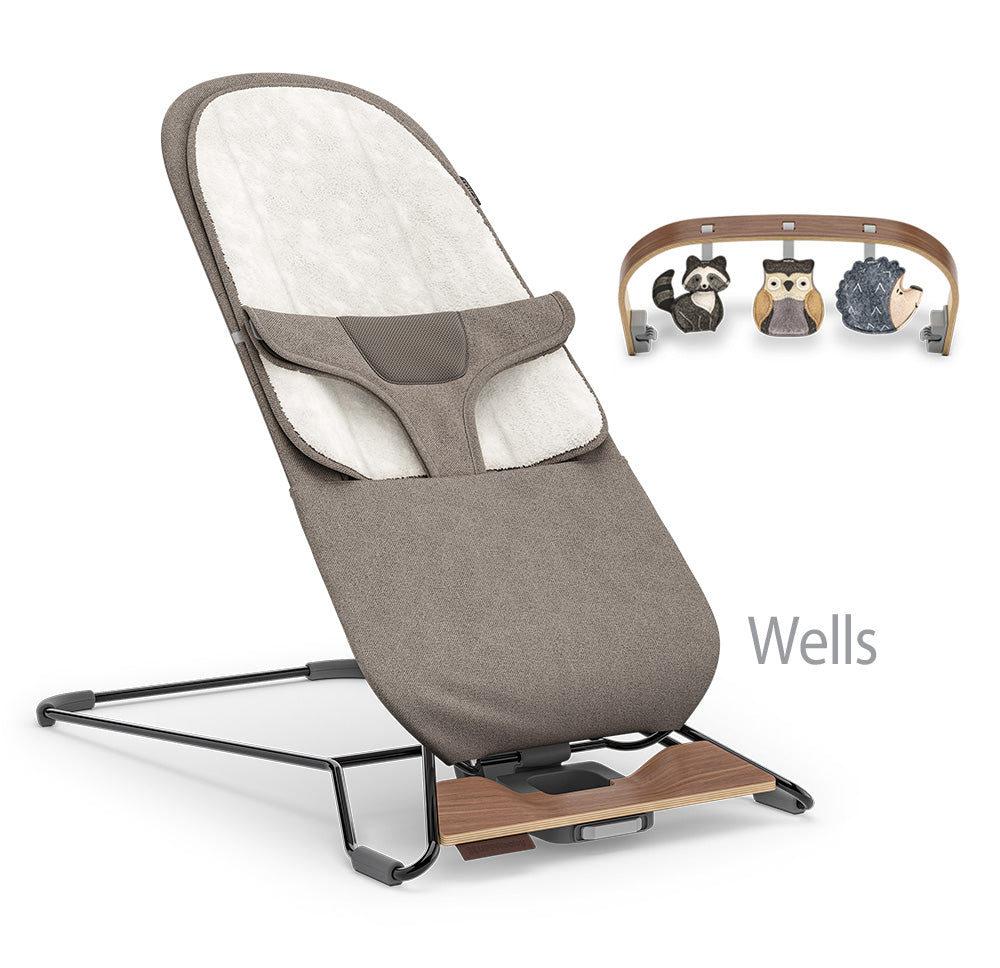 UPPABaby Mira Bouncer and Seat